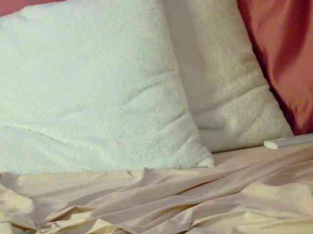 Lexxia webcam