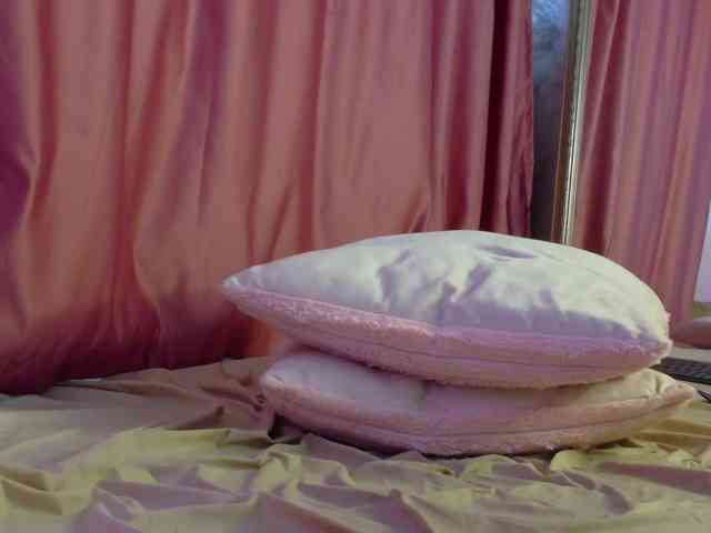 Lexxia webcam