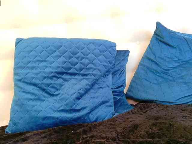 Karissia-X webcam