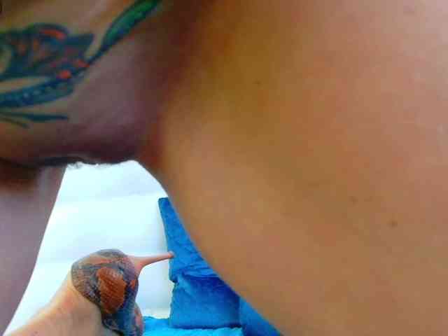 Karissia-X webcam