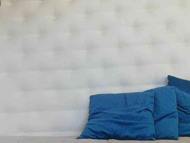 Karissia-X webcam