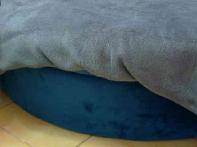 Sasha-B3st webcam