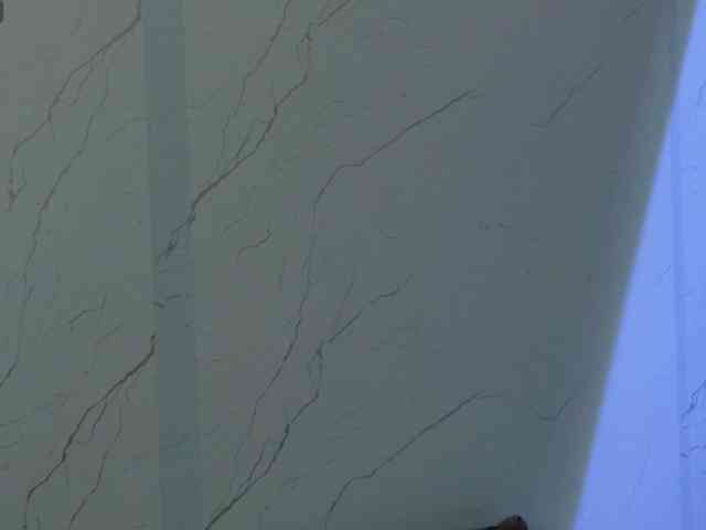 Sasha-B3st webcam