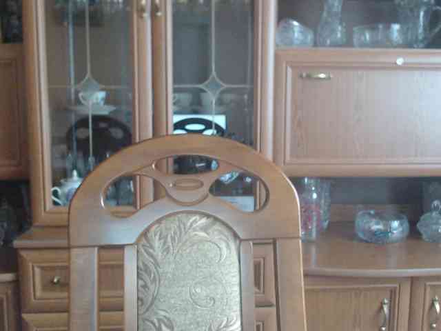 Larrisa3 webcam