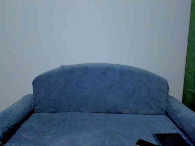 Gaichka webcam
