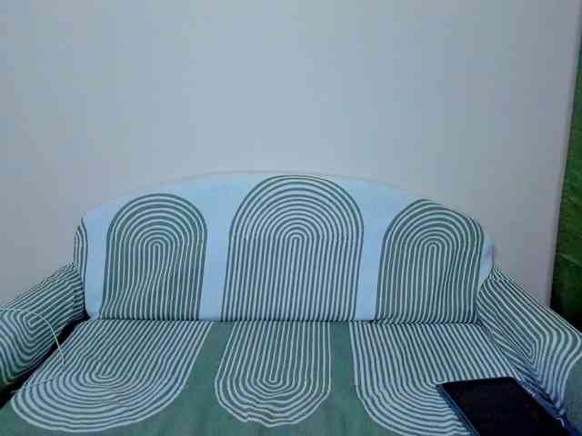 Gaichka webcam