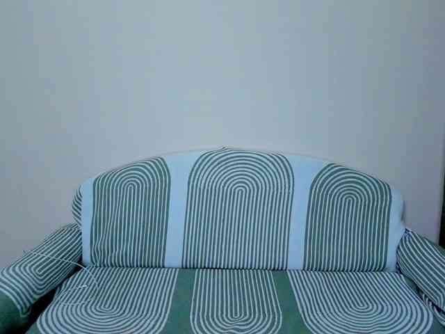 Gaichka webcam
