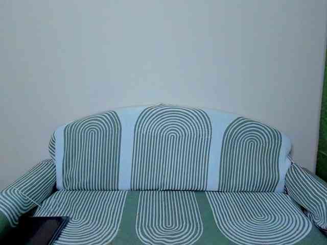 Gaichka webcam