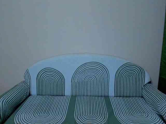 Gaichka webcam