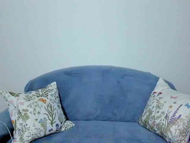Gaichka webcam