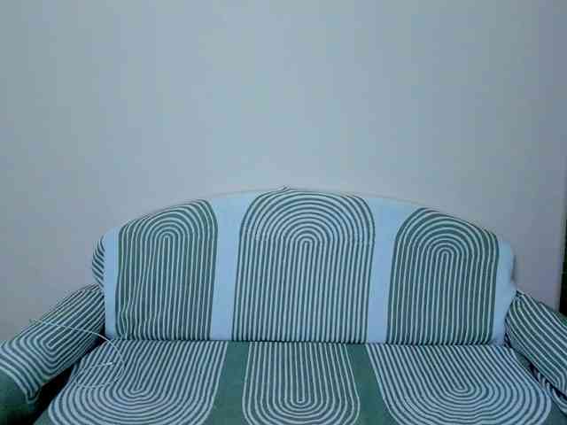 Gaichka webcam