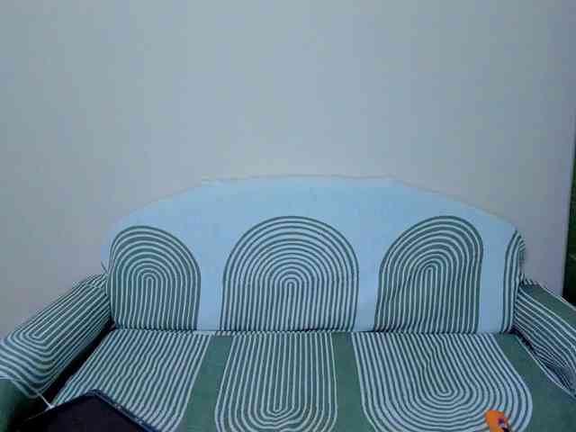 Gaichka webcam