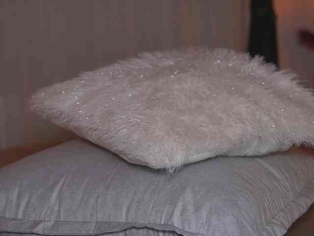 alyonaqueen webcam