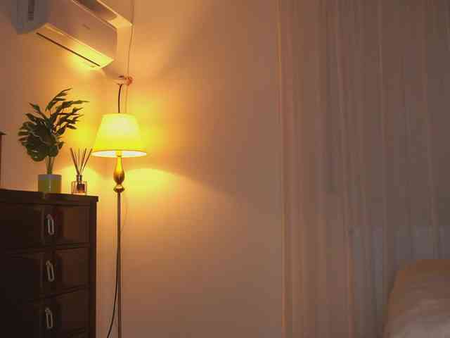 alyonaqueen webcam