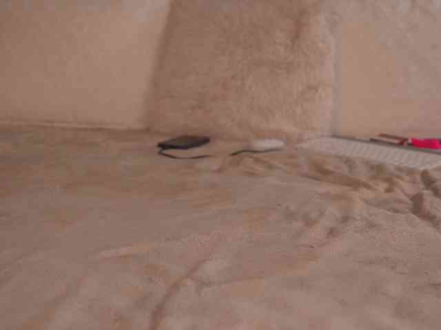 alyonaqueen webcam