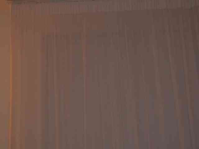 alyonaqueen webcam