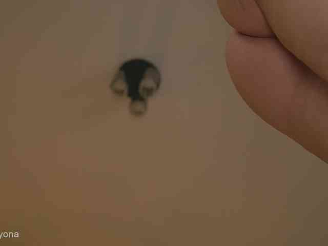 alyonaqueen webcam
