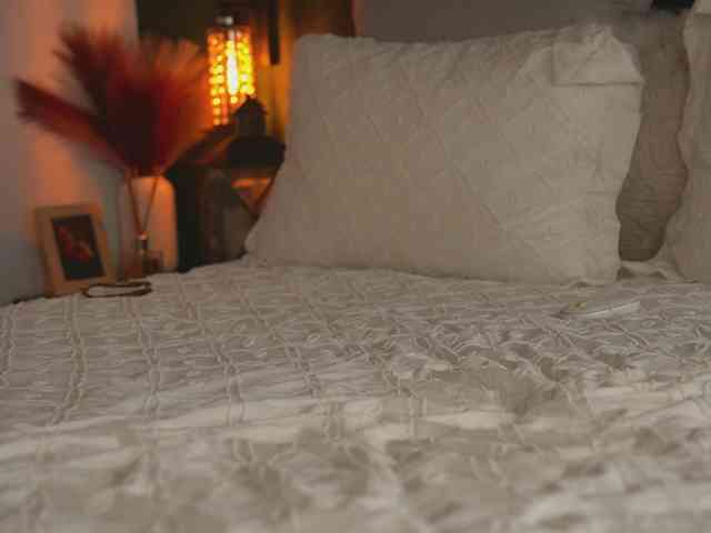 alyonaqueen webcam