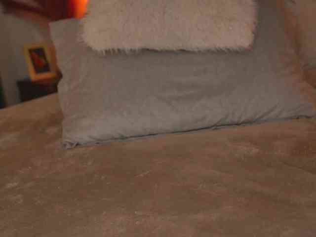 alyonaqueen webcam
