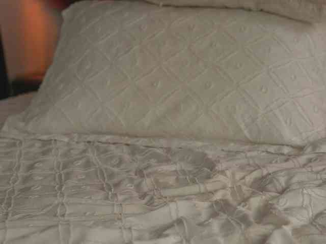 alyonaqueen webcam