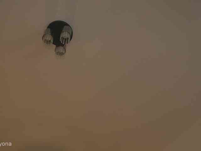alyonaqueen webcam