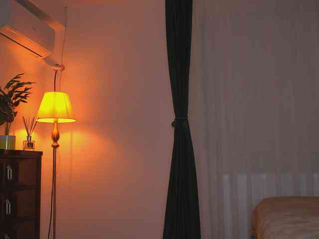 alyonaqueen webcam