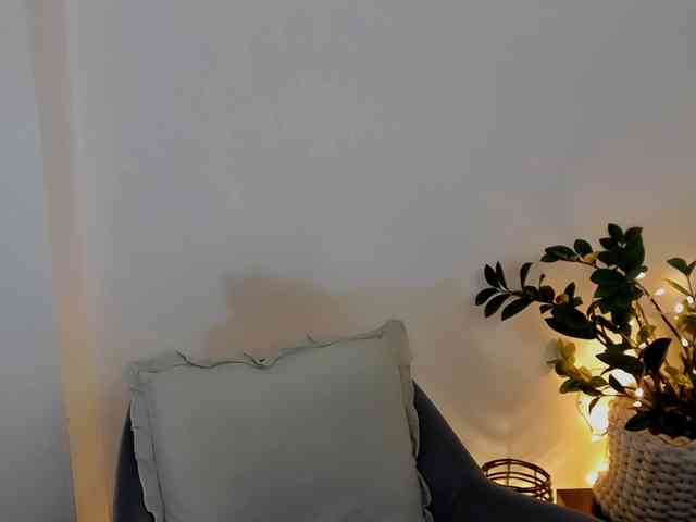 Xenthis webcam
