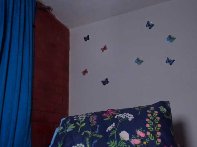 CandyBrowm live cam on BongaCams