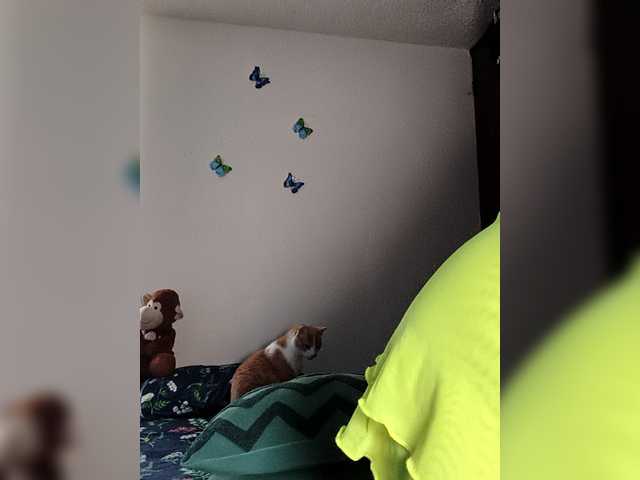 Preview of candybrowm