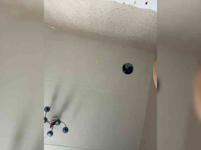 voyeur videochat -Hennessy-