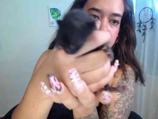 anyablack230 webcam