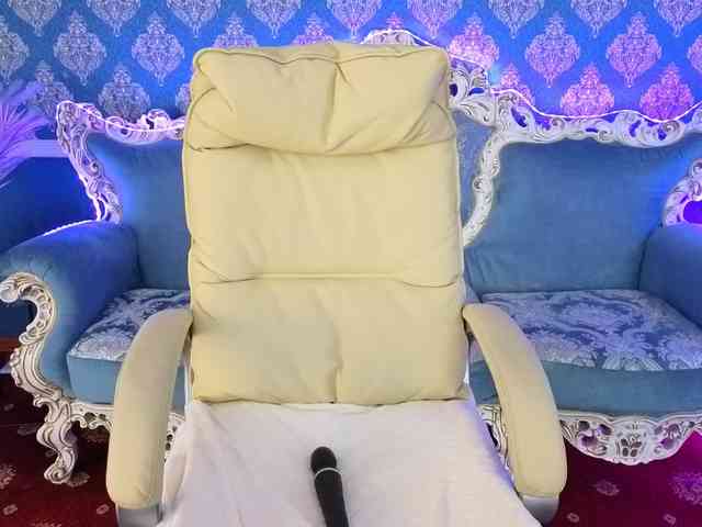 LexiSii webcam