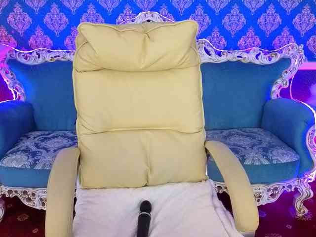 LexiSii webcam