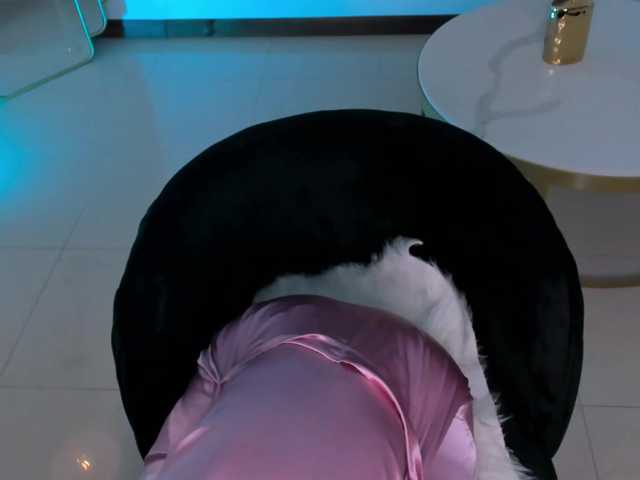 CelestePalmer live cam on BongaCams