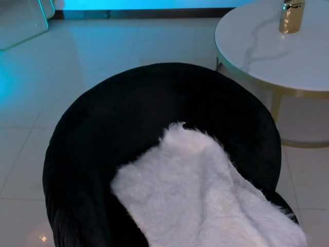 CelestePalmer live cam on BongaCams
