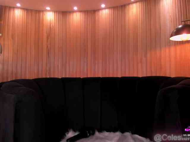CelestePalmer webcam