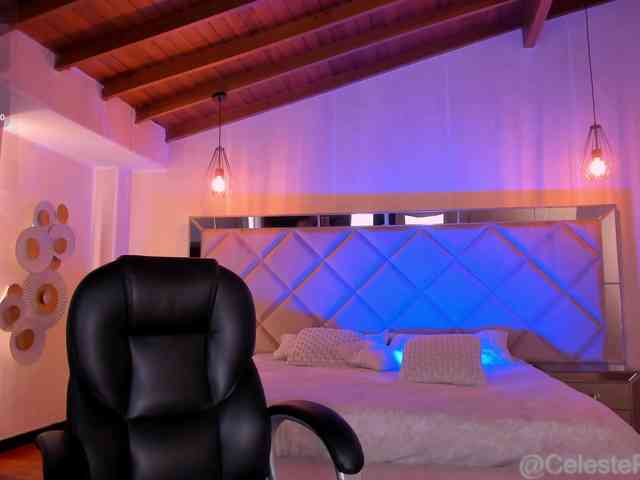 CelestePalmer webcam