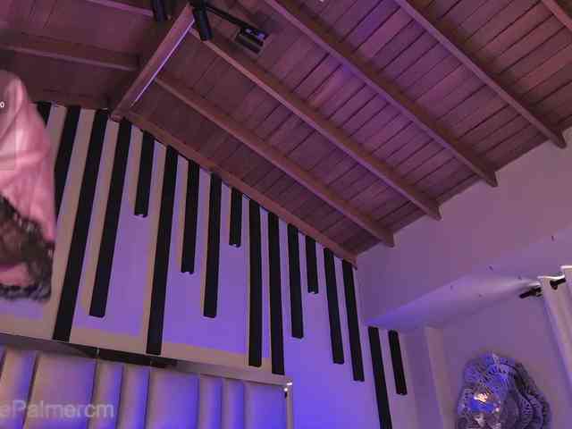 CelestePalmer webcam