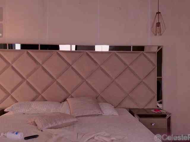 CelestePalmer webcam