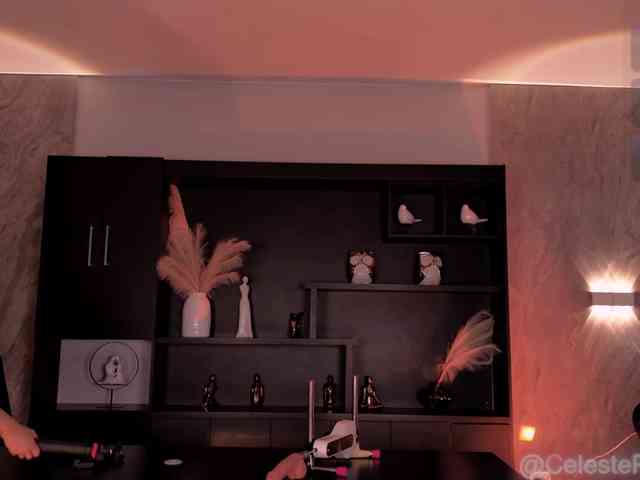 CelestePalmer webcam