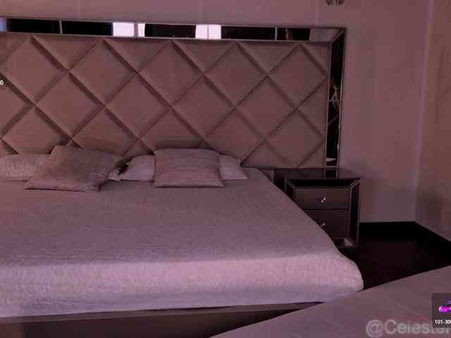 CelestePalmer webcam