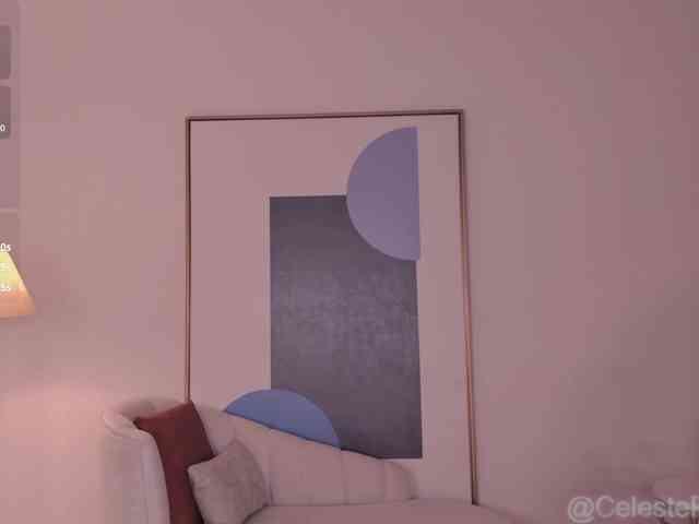 CelestePalmer webcam