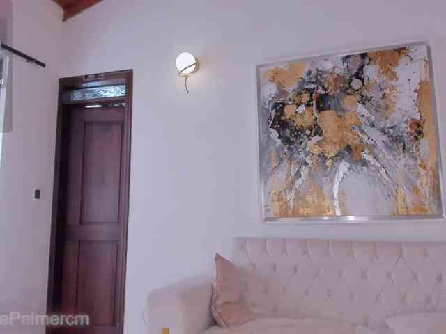 CelestePalmer webcam