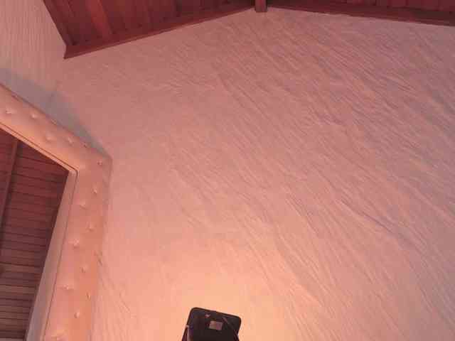 CelestePalmer webcam