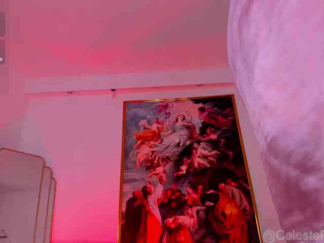 CelestePalmer webcam