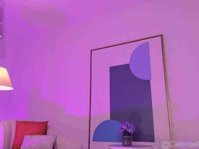 CelestePalmer webcam