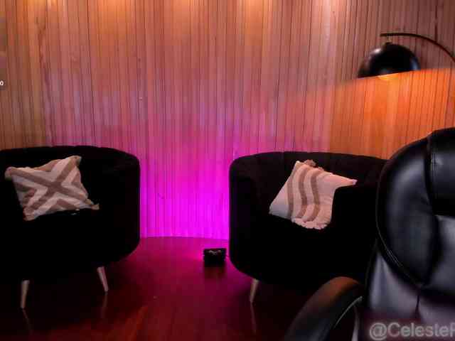 CelestePalmer webcam
