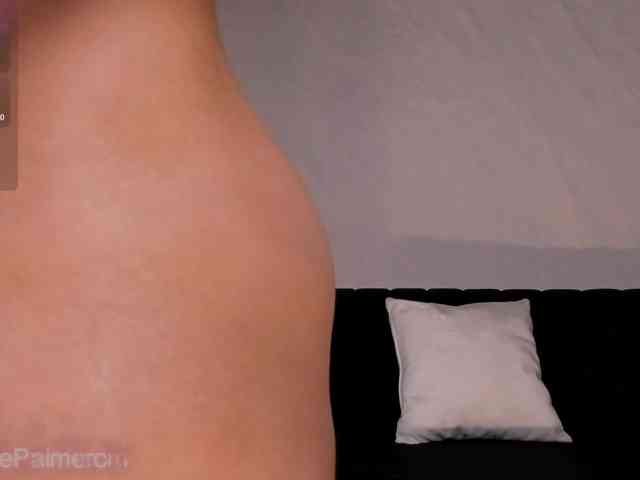 CelestePalmer webcam