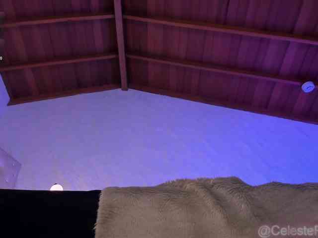 CelestePalmer webcam