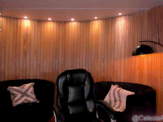 CelestePalmer webcam